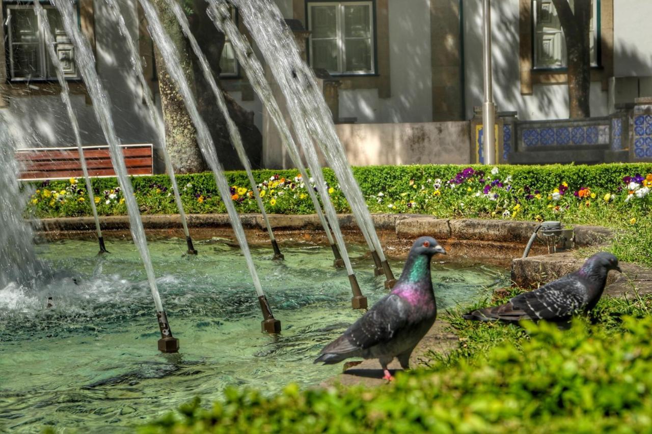 Casa Da Avo Zirinha Villa Viseu Esterno foto